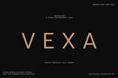 Vexa Modern Sans Serif Font Product Image 1