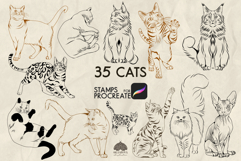 Cats Procreate Stamps Product Image 1