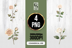 Watercolor Peach Rose Clipart PNG Product Image 1