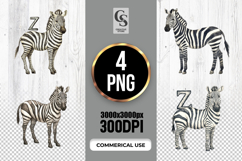 Watercolor Zebra Alphabet Letter Z Clipart Sublimation PNG Product Image 1