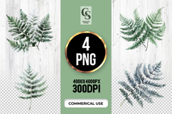 Watercolor Fern Leaf Clipart PNG Product Image 1