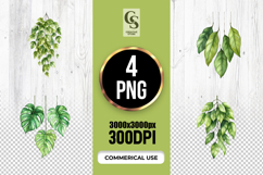 Watercolor Hanging Plants Clipart Sublimation PNG Product Image 1
