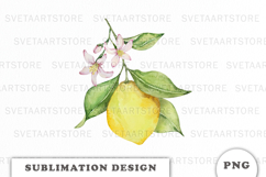Watercolor Lemons composition png Product Image 1