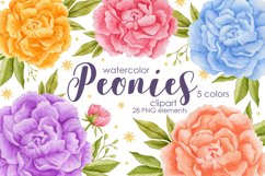 Watercolor peonies clipart. Product Image 1