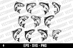 Illustration of a salmon isolated on white background. Product Image 1