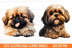 Cute Sleeping Dogs Clipart Product Image 1