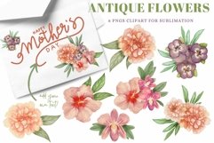 Watercolor Flowers & Arrangements Antique Sublimation Art Product Image 1