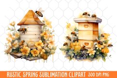 Rustic Spring Clipart, Vintage Spring Clipart Product Image 2