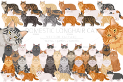 Domestic longhair cat Product Image 1