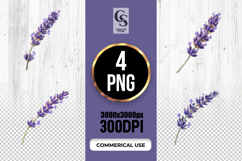 Lavender Flower Botanical Illustration Clipart PNG Product Image 1