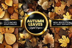 Autumn Leaves Digital Papers - 04 Variations Product Image 1