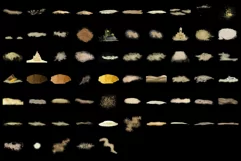 800 SEA FLORA TRANSPARENT PNG FILES, PHOTOSHOP OVERLAYS Product Image 7