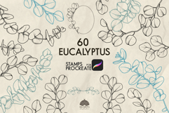 Eucalyptus Procreate stamp brush Product Image 1
