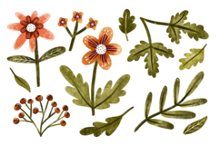 Spring Floral Botanical Set. Flowers and Leaves. Hand Drawn Product Image 1