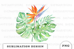Watercolor Tropical Flowers Bouquet png Product Image 1