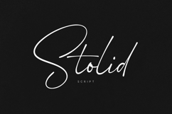 Stolid Signature Script Modern Elegant Typeface Product Image 1