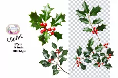 Christmas, Holly, Flowers, Ephemera, PNG, Clipart Product Image 1