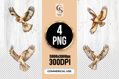 Flying Hawk Bird Illustration Clipart Sublimation PNG Product Image 1