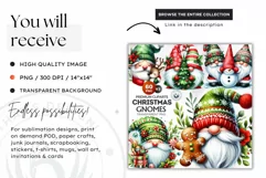 Christmas Gnome Clipart, Gnome png, christmas clipart,winter Product Image 2