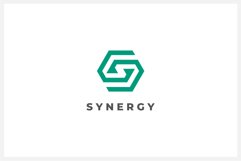 Synergy Letter S logo design vector template Product Image 1