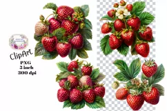 Strawberry, Strawberries, Ephemera, PNG, Clipart Product Image 1