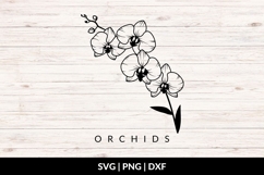 Orchid Flowers SVG Product Image 1