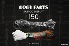 Procreate Body Parts Brushes Bundle | Stamps | Brush Set Product Image 1