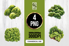 Watercolor Green Moss Nature Clipart Sublimation PNG Product Image 1