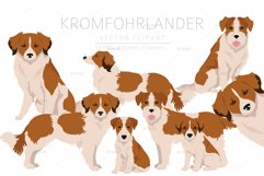 Kromfohrlander clipart Product Image 1