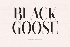 Black Goose Modern Editorial Serif Font Product Image 1