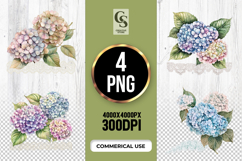 Hydrangea Flower Clipart Sublimation PNG Product Image 1