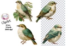 Birds, Flowers, Ephemera, PNG, Clipart, Junk Journal Product Image 1