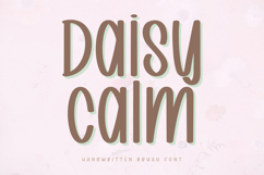 Daisy Calm - Handwritten Brush Font Product Image 1