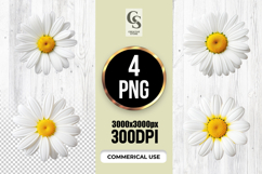White Daisy Flower Clipart Sublimation PNG Product Image 1