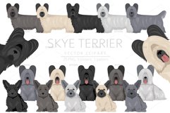 Skye Terrier clipart Product Image 1