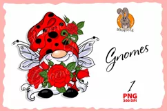 dwarf ladybug, genomes of the ladybug family png Product Image 1