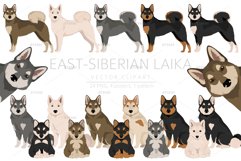 East-Siberian Laika clipart Product Image 1