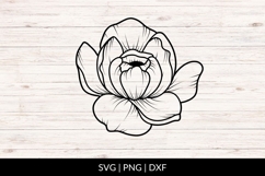 Hand Drawn Peony Bloom SVG Product Image 1