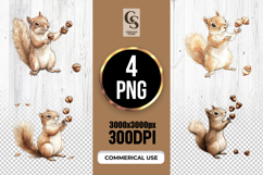 Cute Squirrel With Acorns Illustration Clipart PNG Product Image 1
