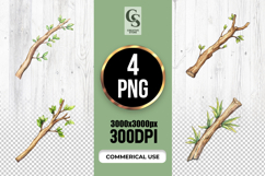 Watercolor Tree Branch Clipart Sublimation PNG Product Image 1