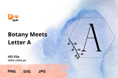 Botany Meets Letter Product Image 1