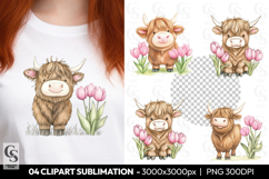 Highland Cow With Pink Tulips Clipart Sublimation PNG Product Image 1