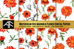 Watercolor Red Marigold Flower Digital Papers Product Image 1