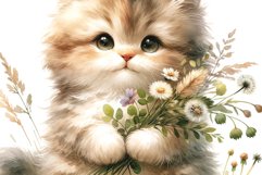 Cute Kitten Product Image 2