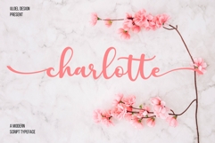 The Charlotte Font Bundle Product Image 3