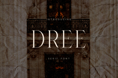 Dree Elegant Modern Serif Font Product Image 1