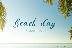 Beach Day Script Product Image 1