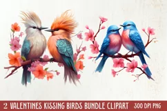 Breeds of Valentine Kissing Birds, Valentine's Day Clipart Product Image 1