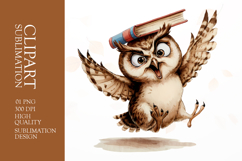 Grumpy owl watercolor clipart sublimation Product Image 1