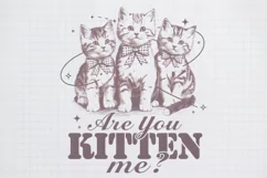 Vintage Funny Cat you kitten me PNG Product Image 1